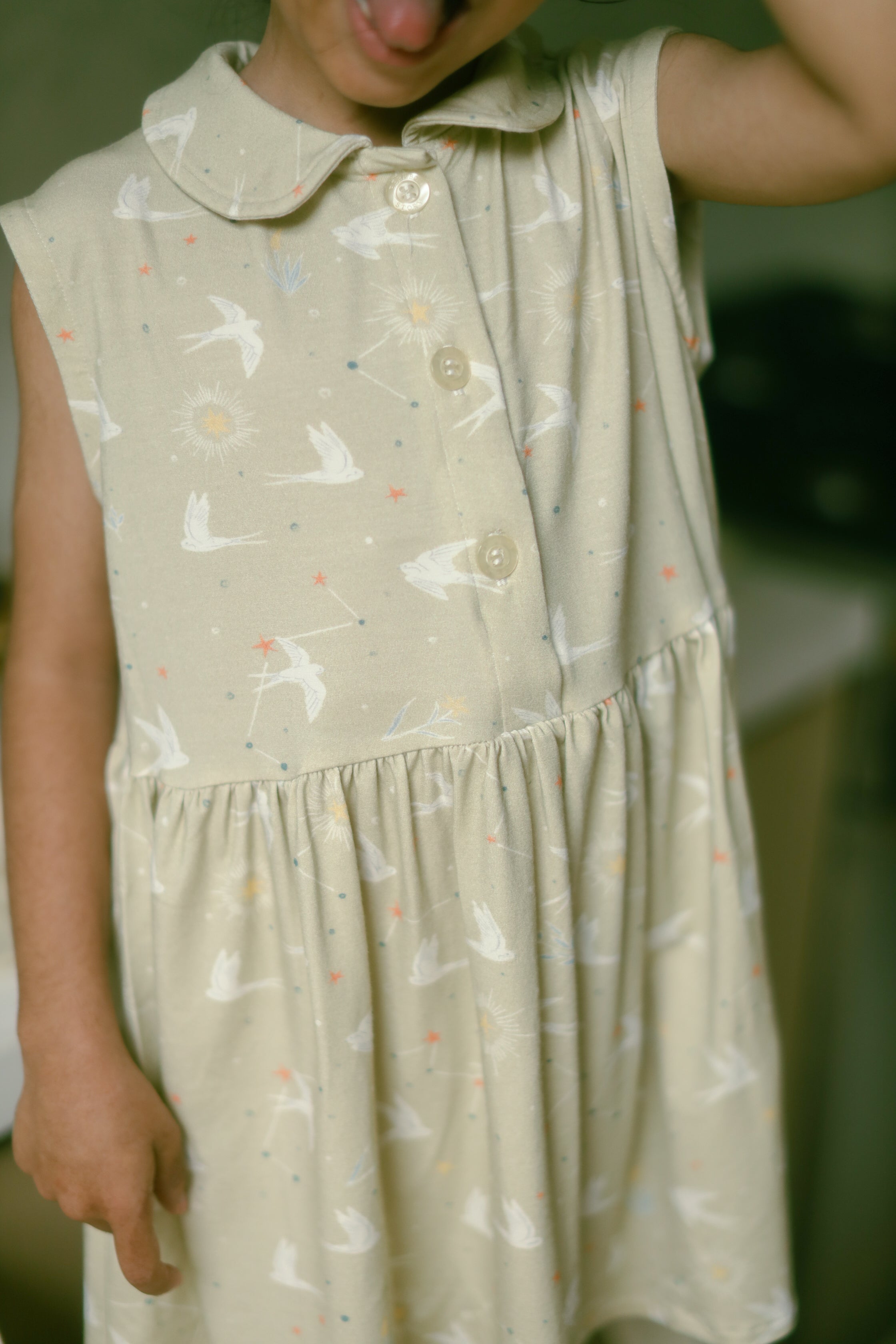 Girl's Penelope Dress in Two Drifters
