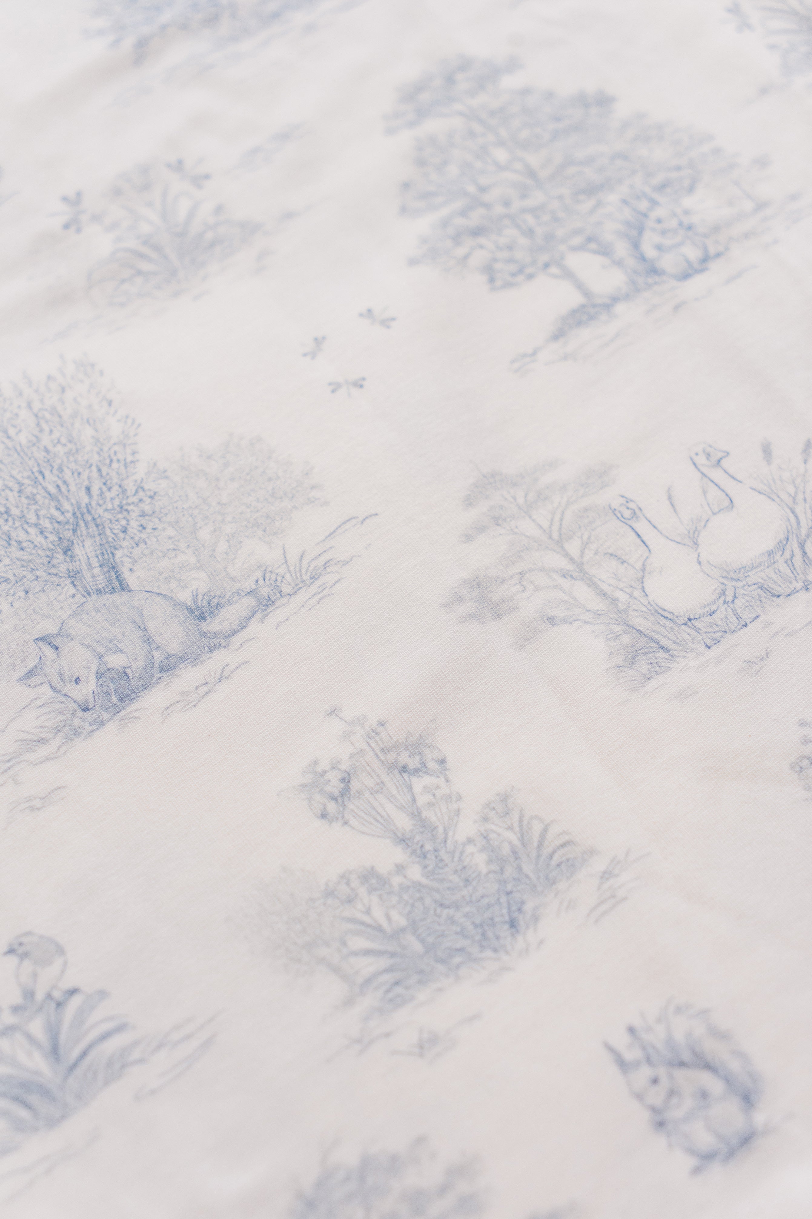 Kid's Boo Short Pants in Secret Garden Blue